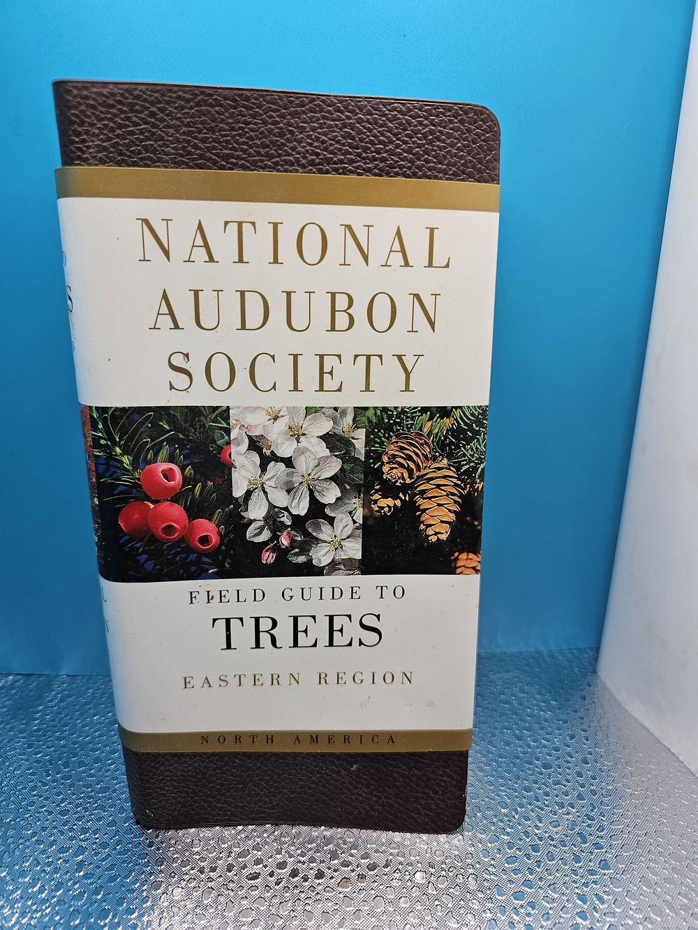 Field Guide to Trees - Brown